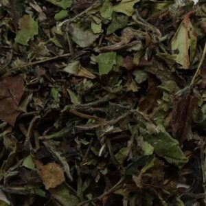 Bai Mu Dan Witte Thee
